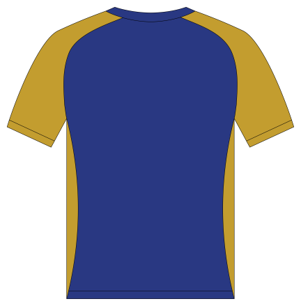 Training T-Shirt